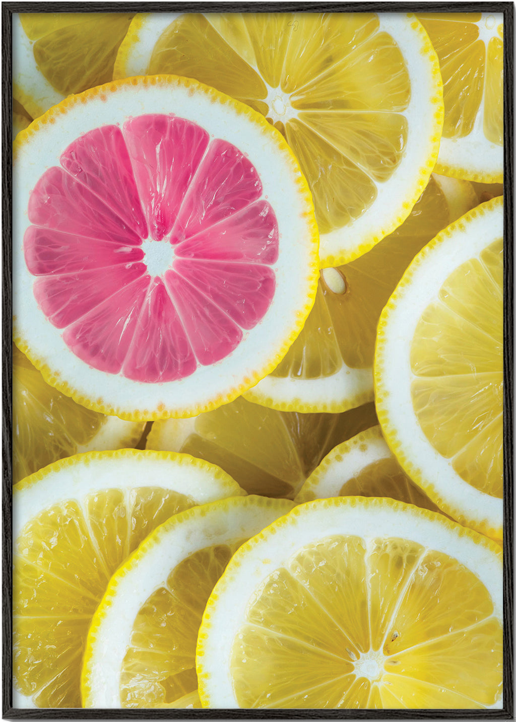 Kitchen art pink lemon slices