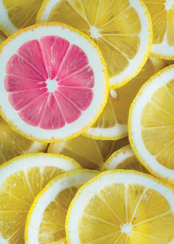 Kitchen art pink lemon slices