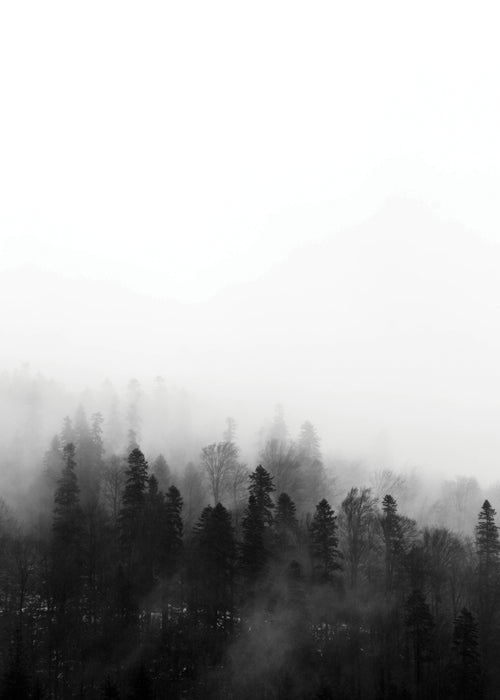 Haunted forest - Unframed art print
