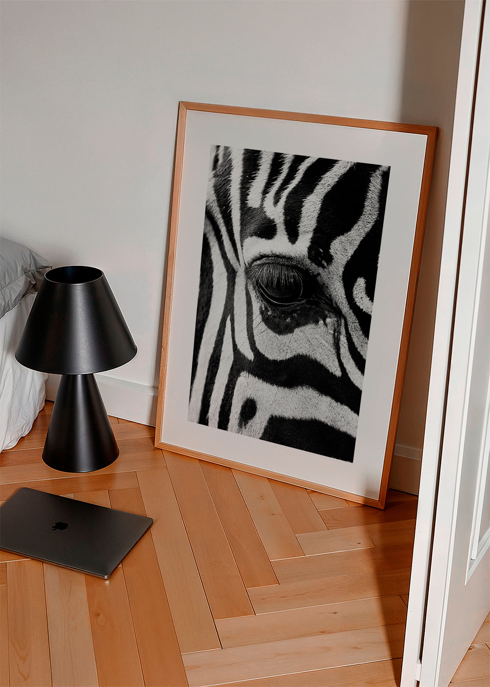 Zebra focus