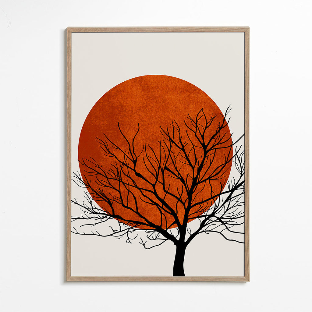 Warm sunset