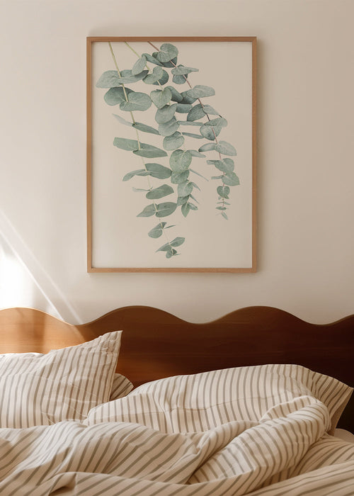 Eucalyptus I