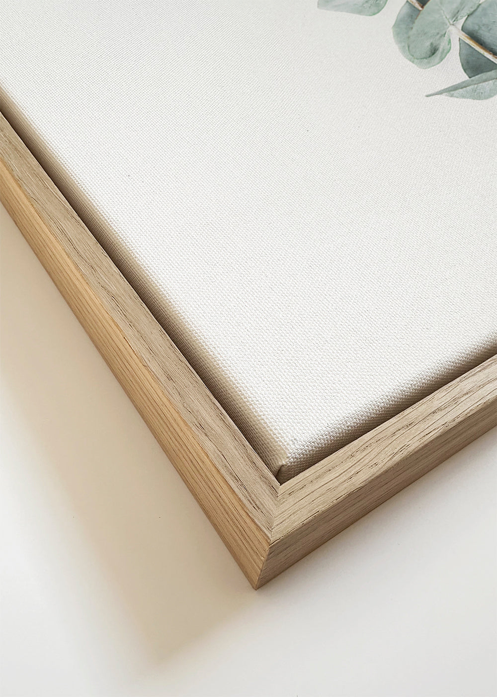 Eucalyptus II
