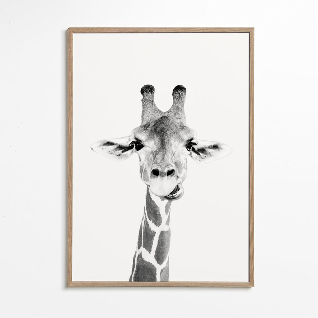 Baby giraffe