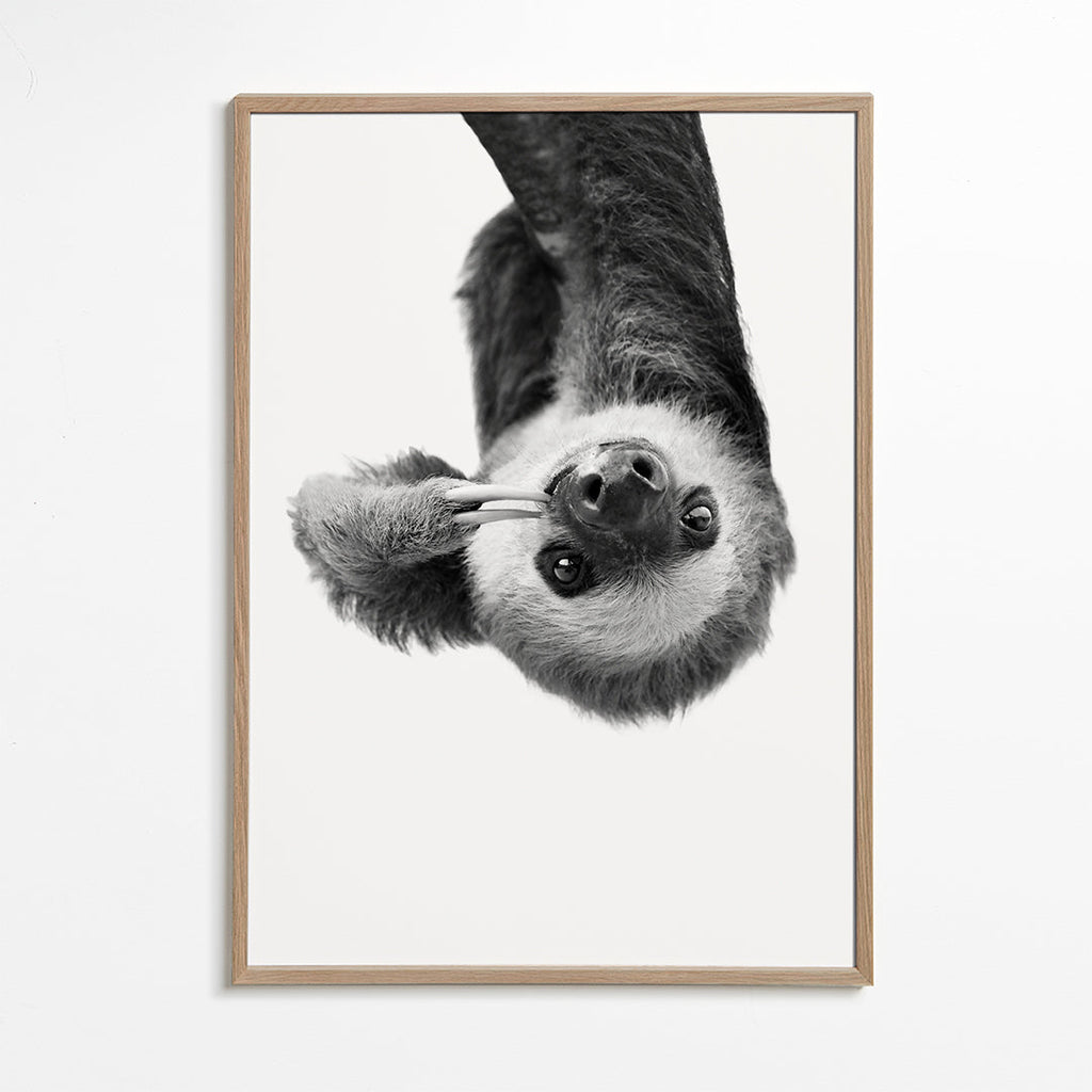 Sloth BW