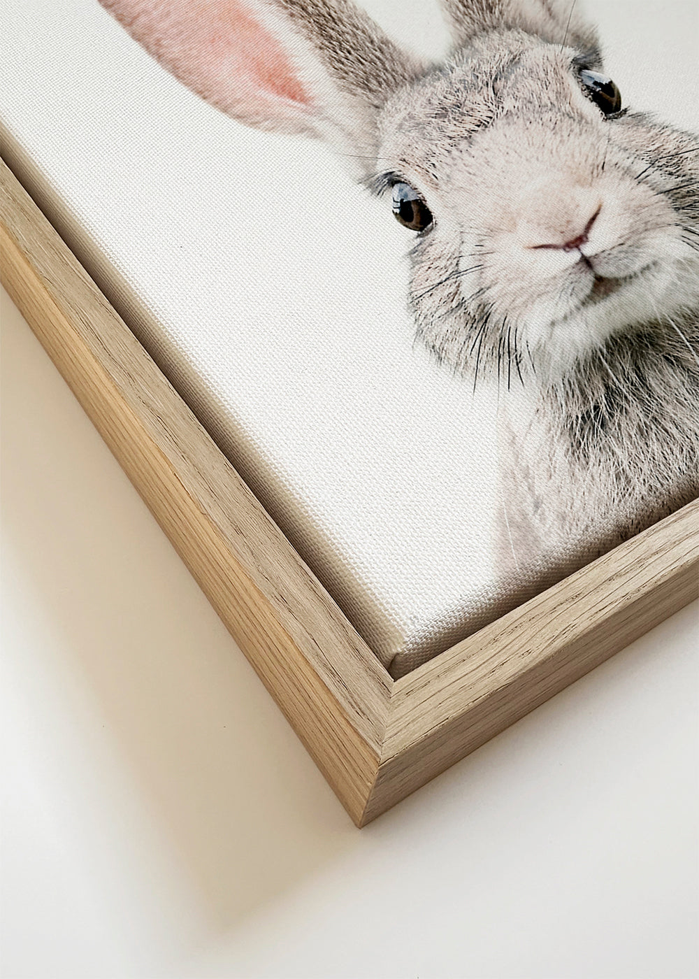Bunny face
