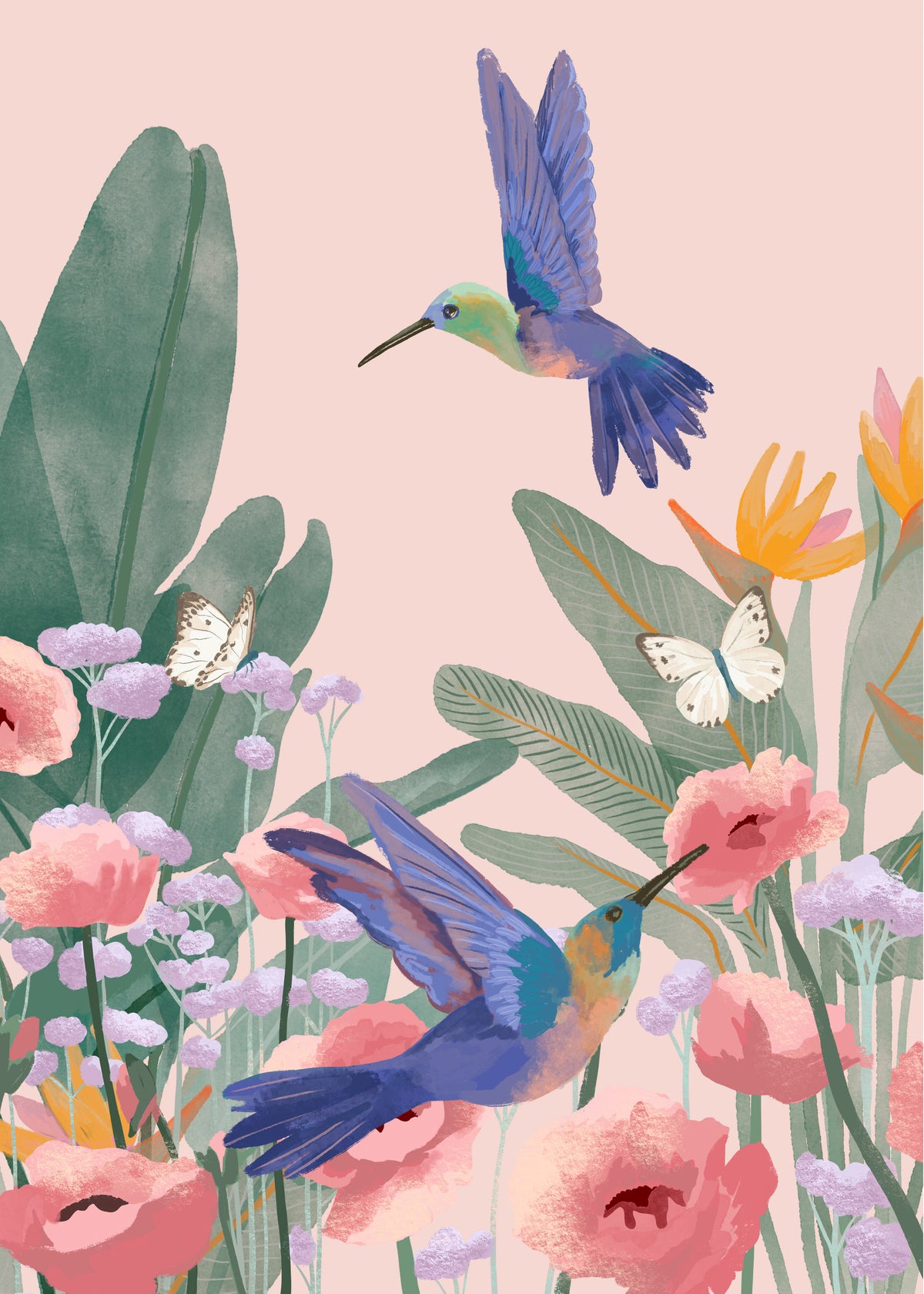 Hummingbirds - Unframed art print
