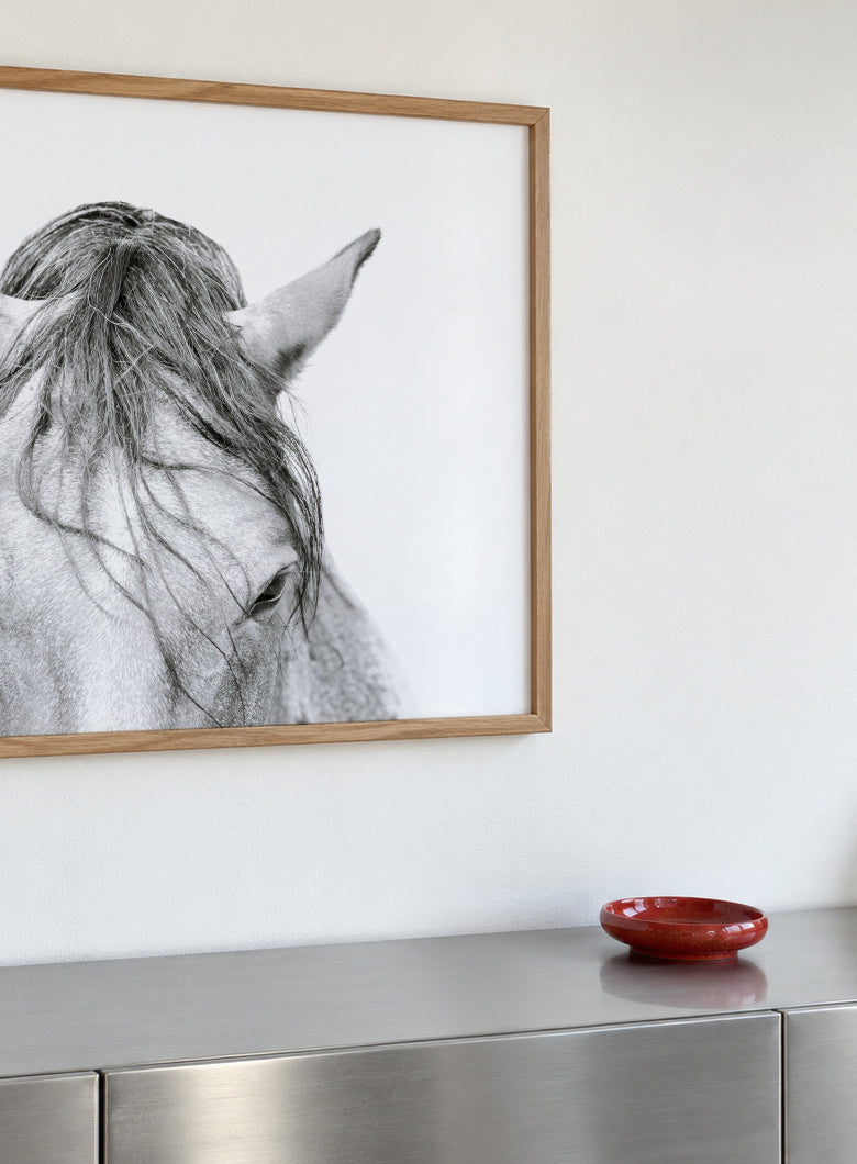Horses Head 2 - Framed poster detail