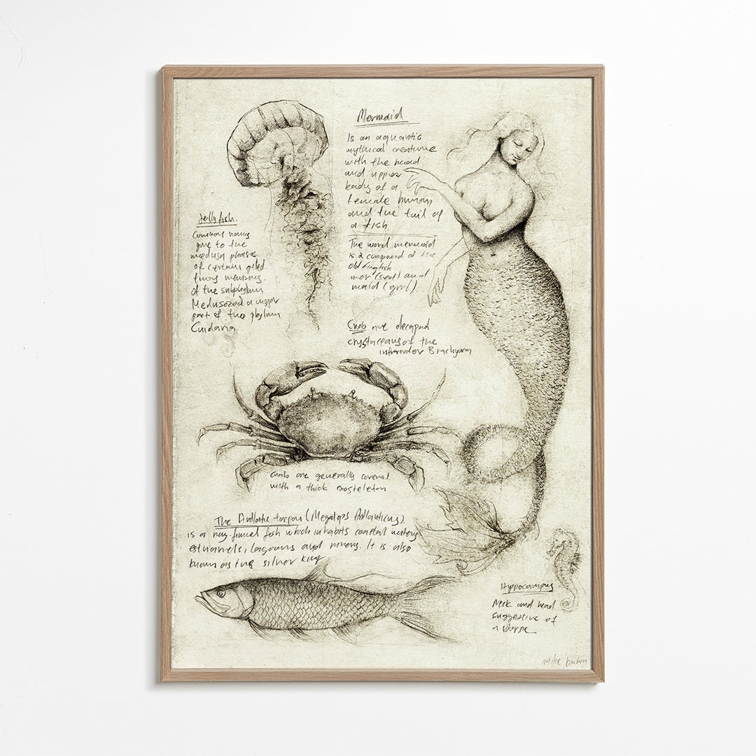 Sea Animals