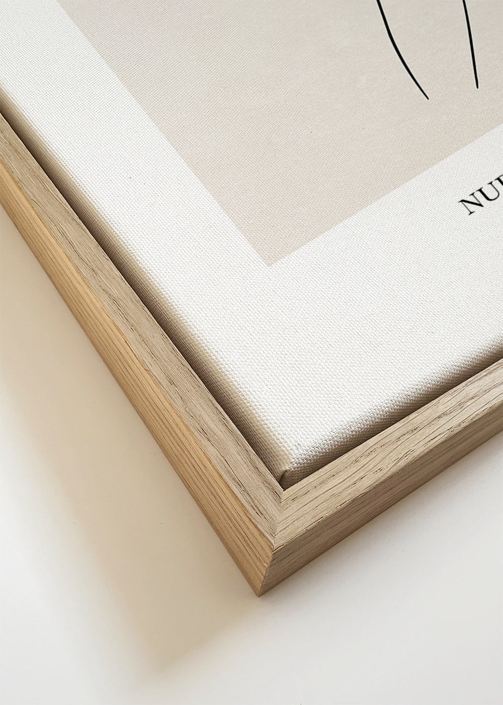 Nude Study Nº1