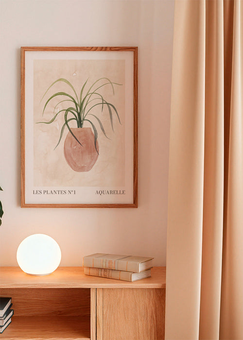 Les plantes Nº1