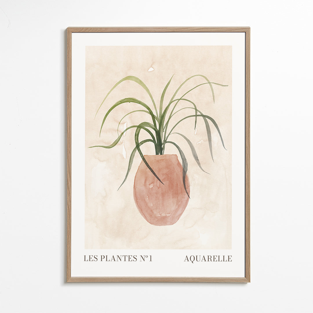 Les plantes Nº1