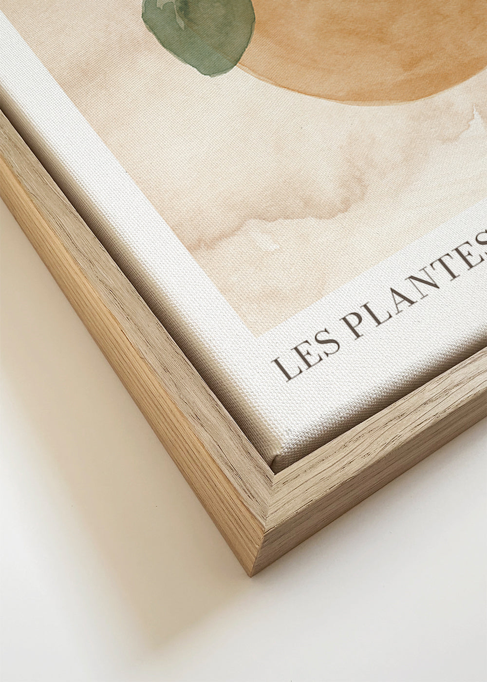 Les plantes Nº2