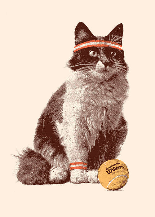 Cat Tennis