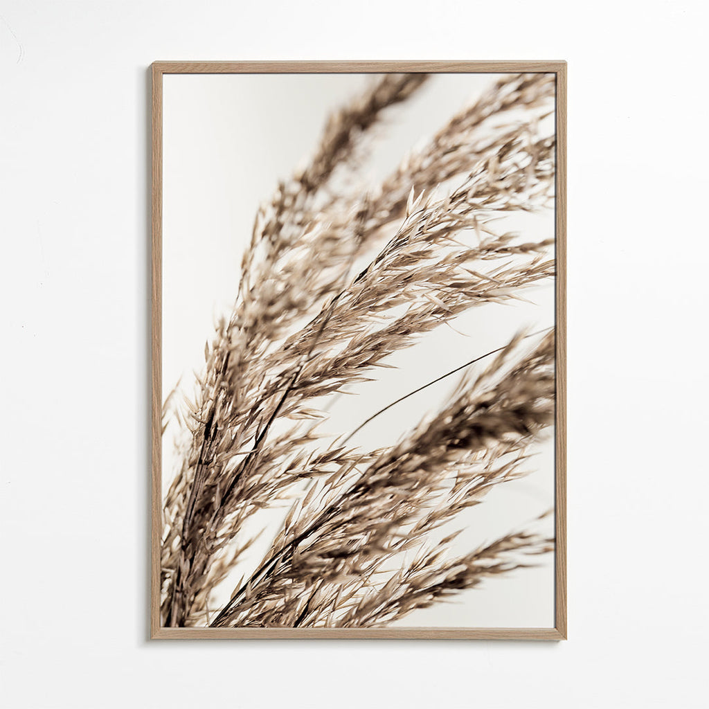 Grass 14
