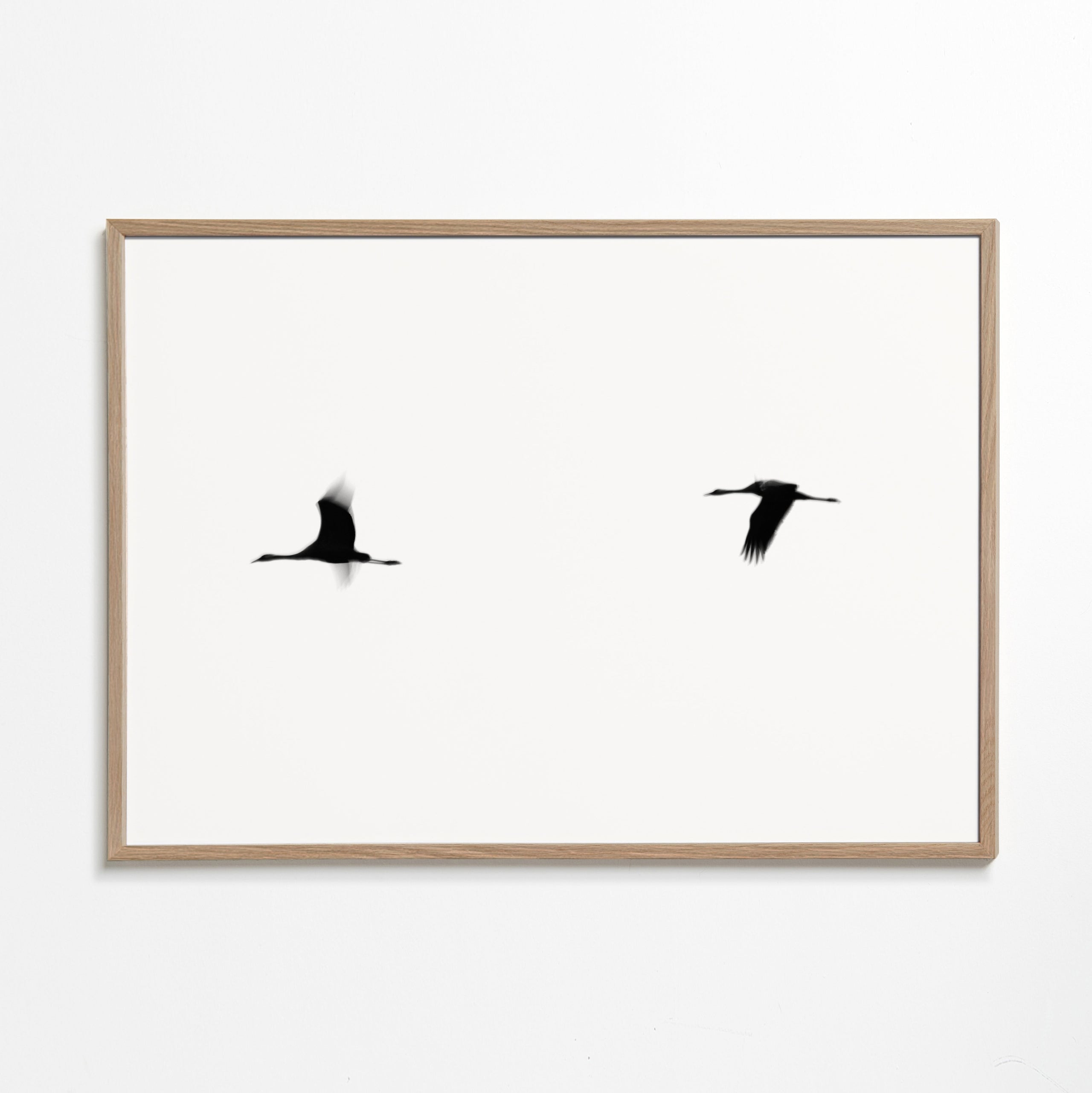 Crane(s) II