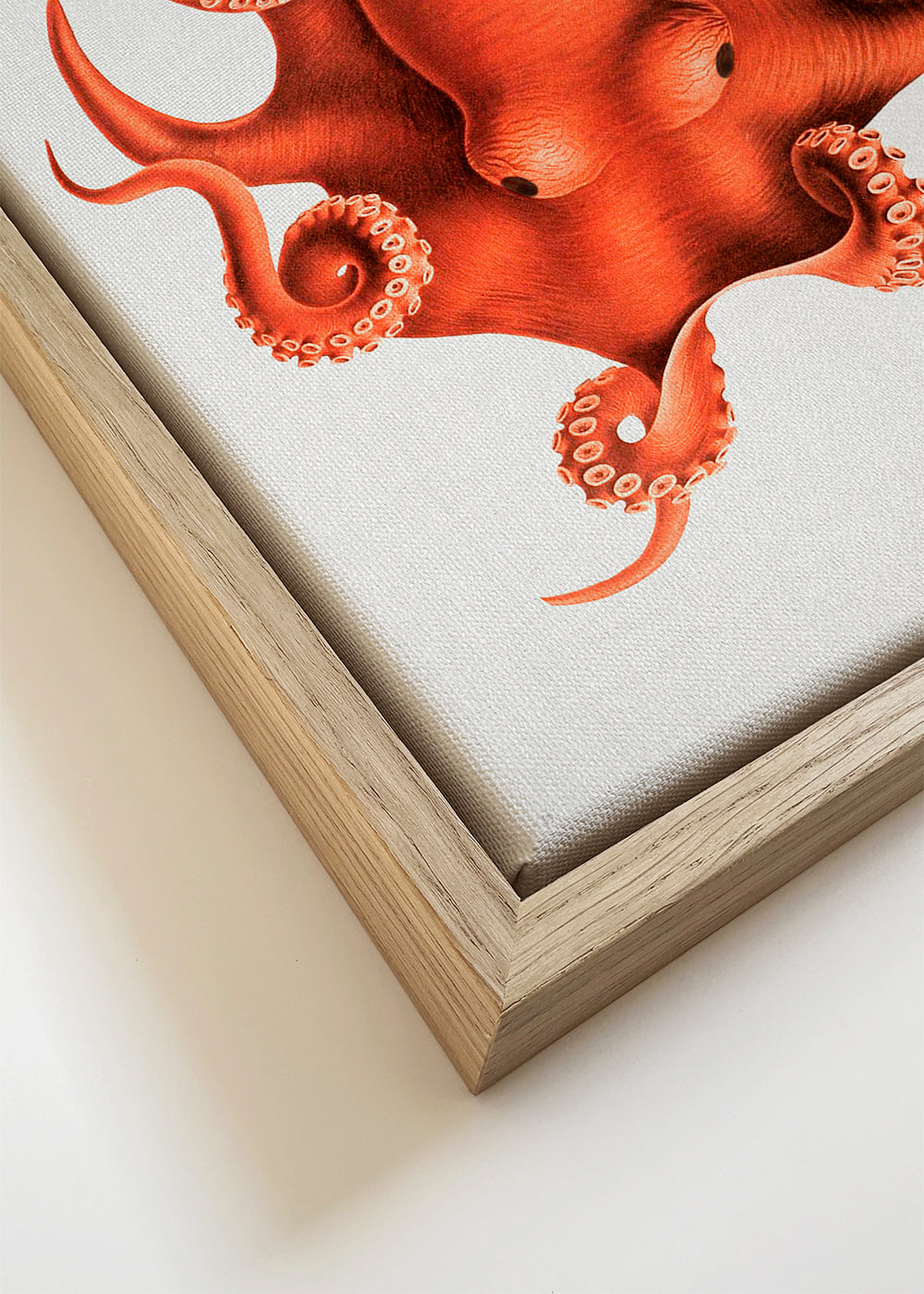 Watercolor Octopus
