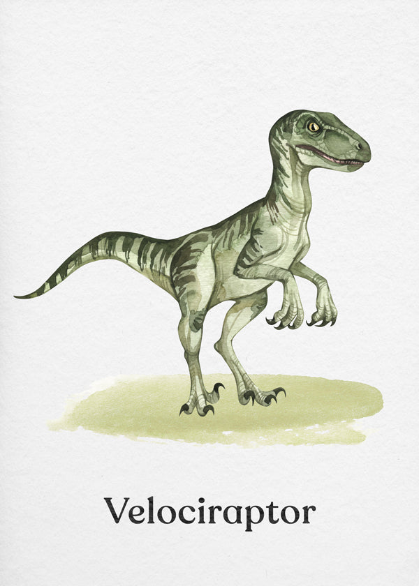 Artwork Velociraptor for kids