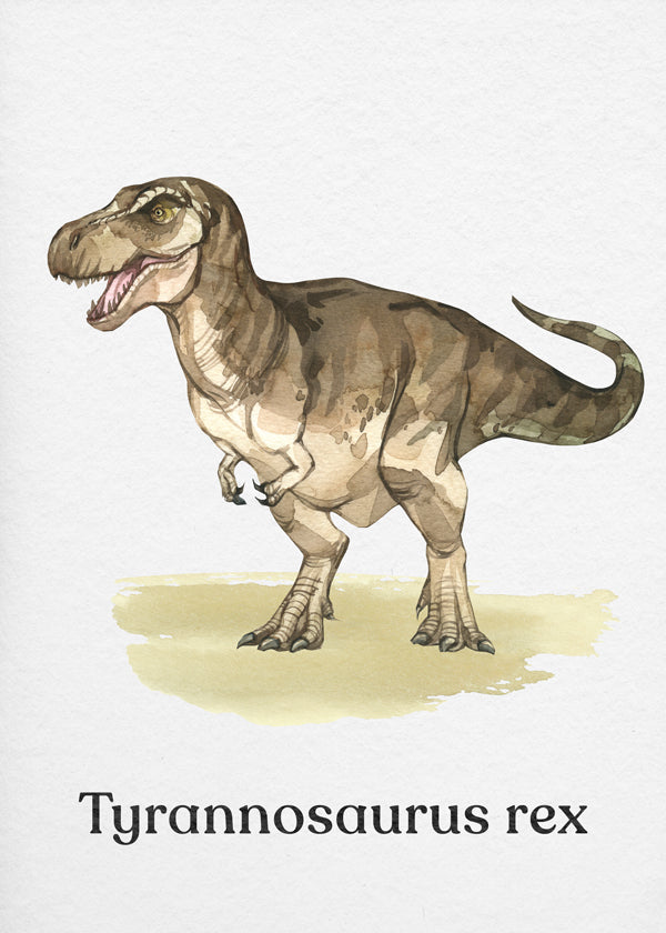 Artwork Tyrannosaurus rex illustration