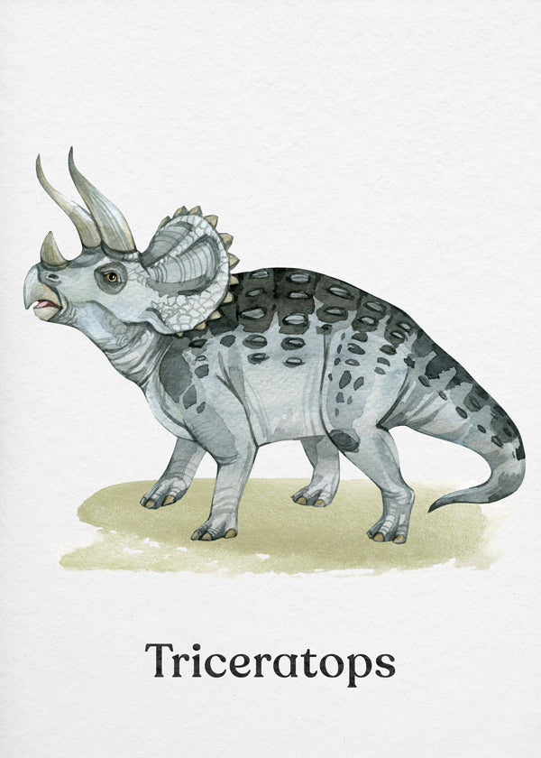 Artwork Triceratops watercolor illustration