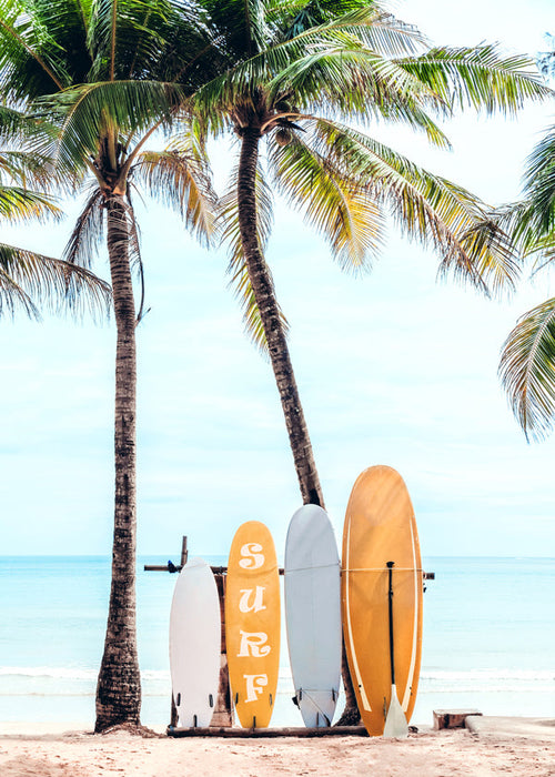 Choose Your Surfboard