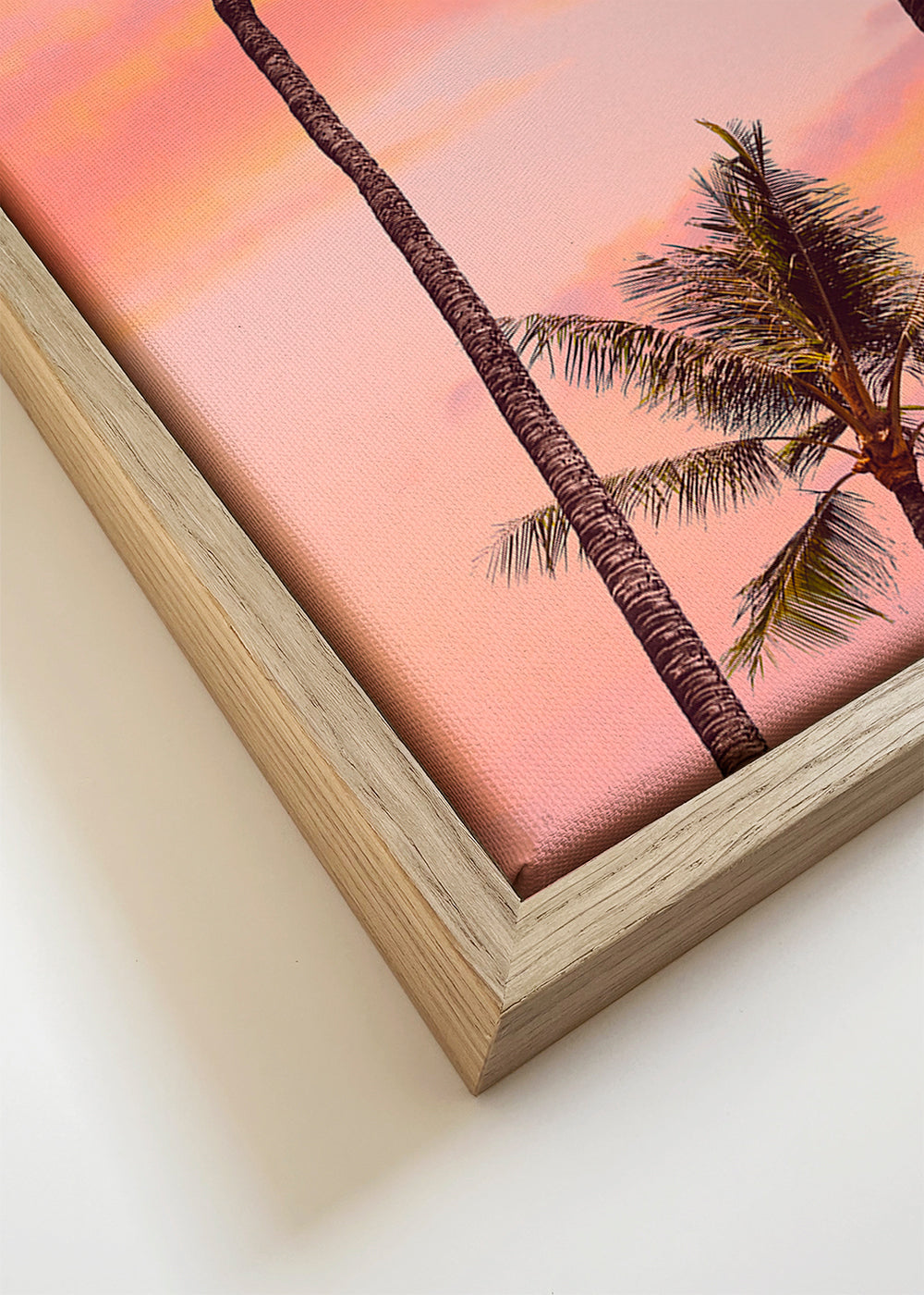 Sunset Palm Trees
