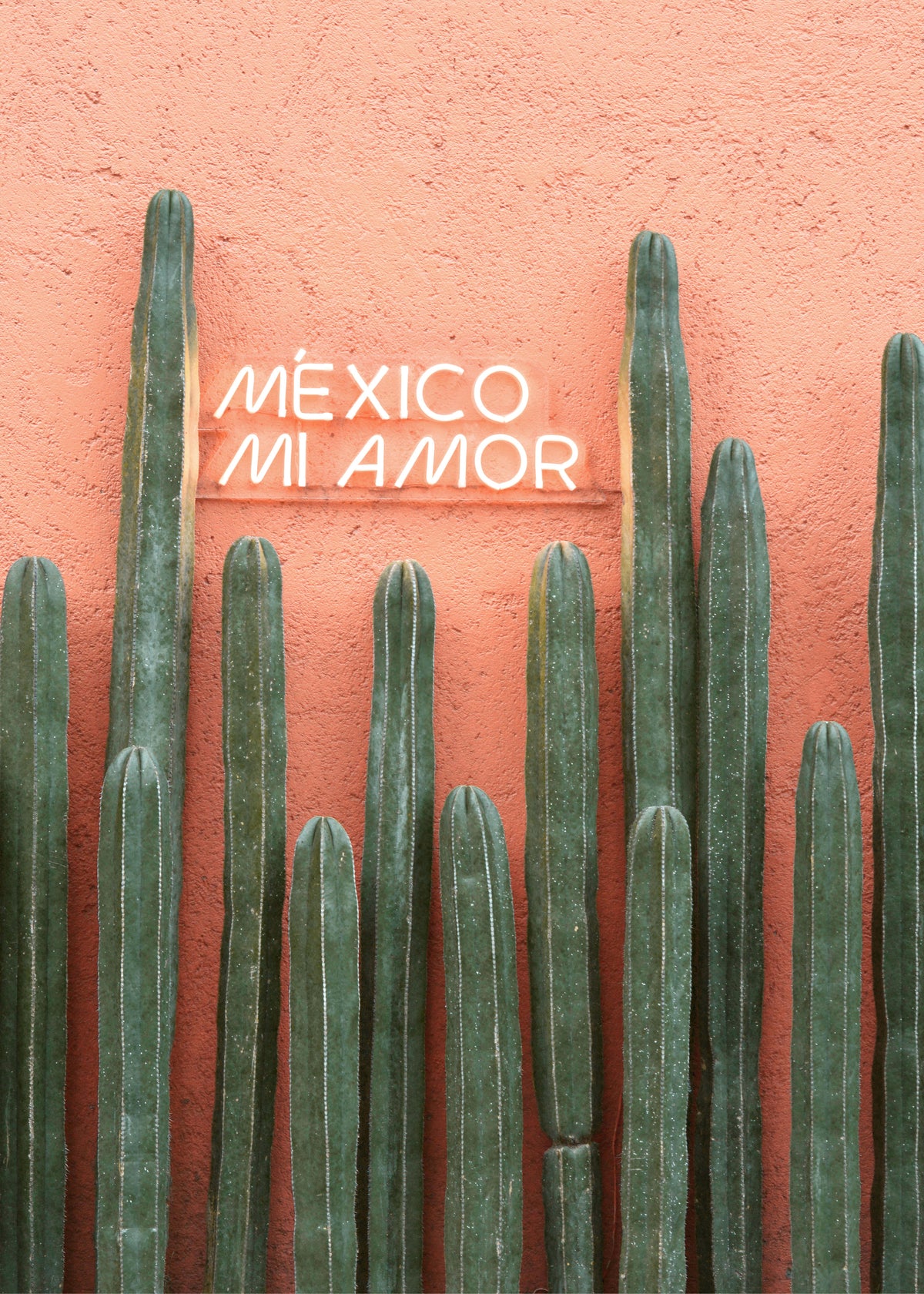 Mexico Mi Amor - Unframed art print