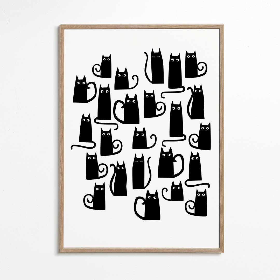 Black Cats