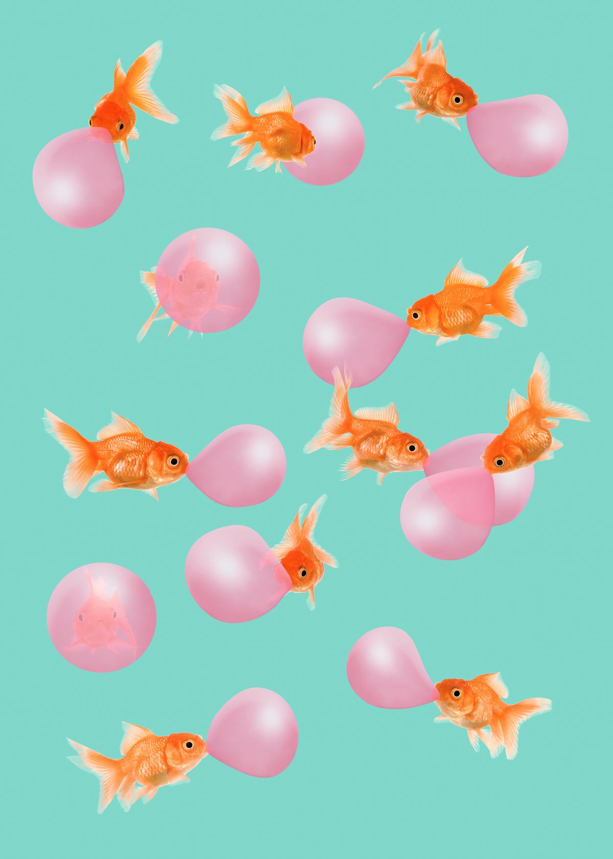 Bubblegum Goldfish - Unframed art print