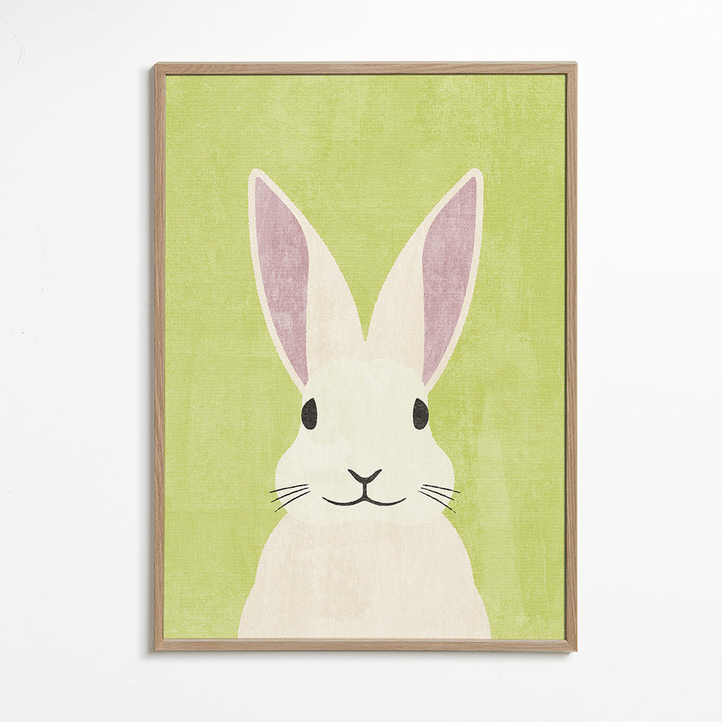 FAUNA / Rabbit