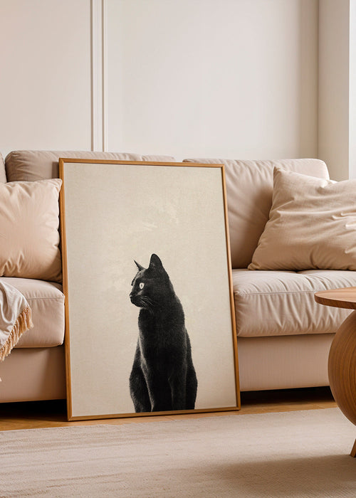 Black Cat
