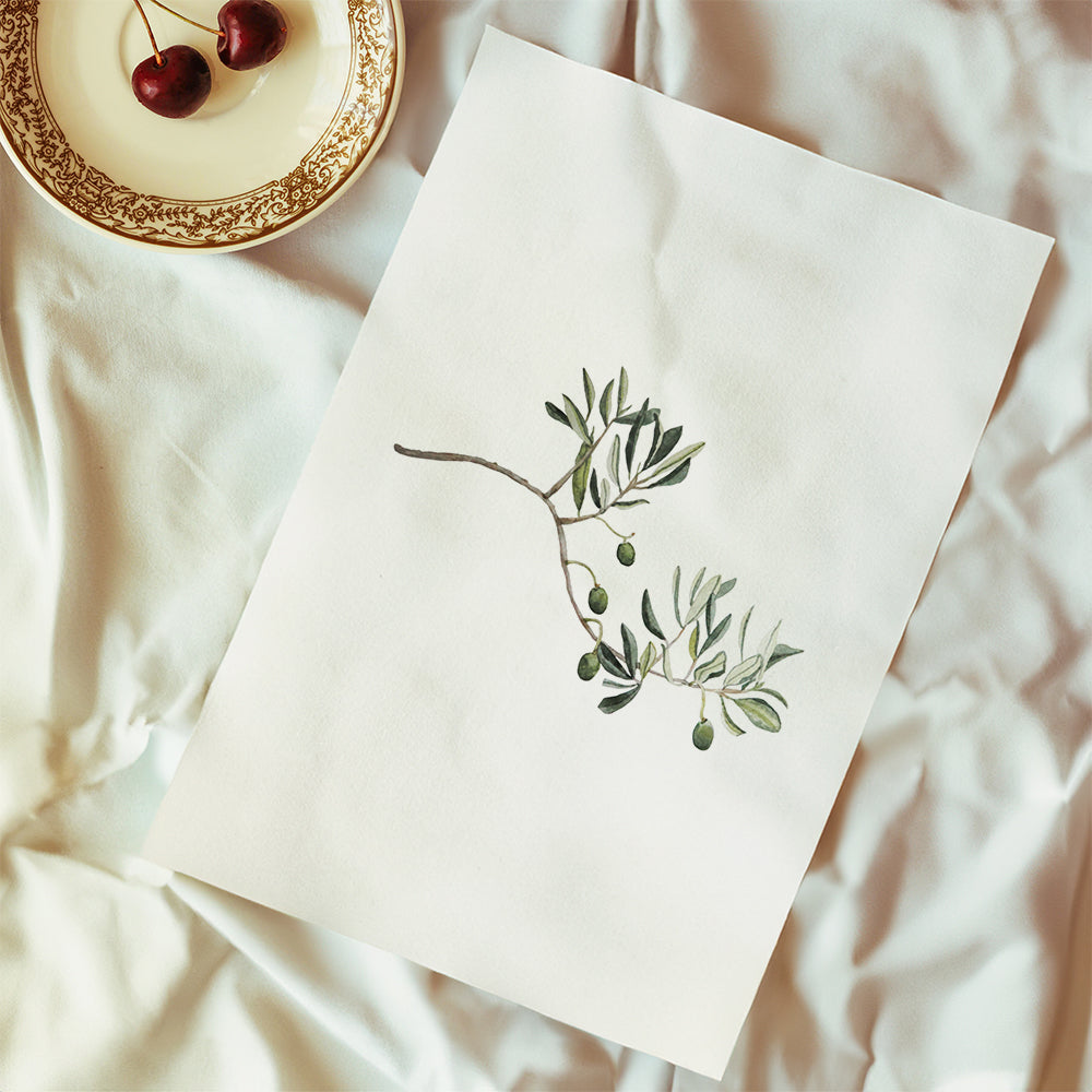 Green Olive Branch