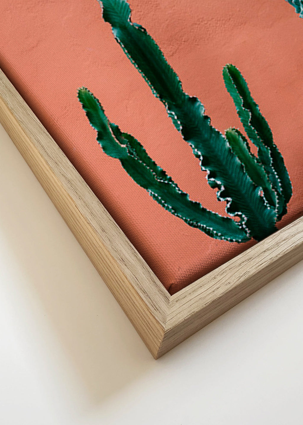 Botanical print of cacti on terracotta wall – Canvas detail