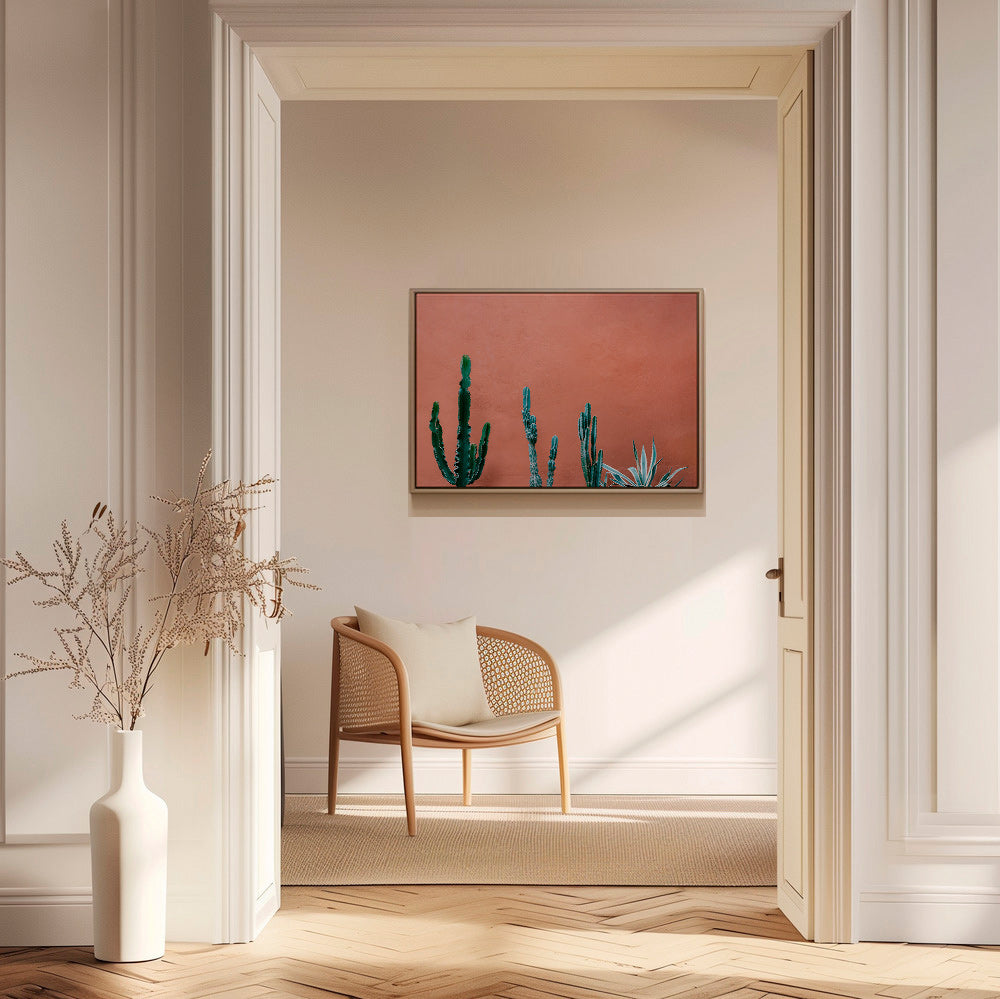 Botanical print of cacti on terracotta wall – Canvas1