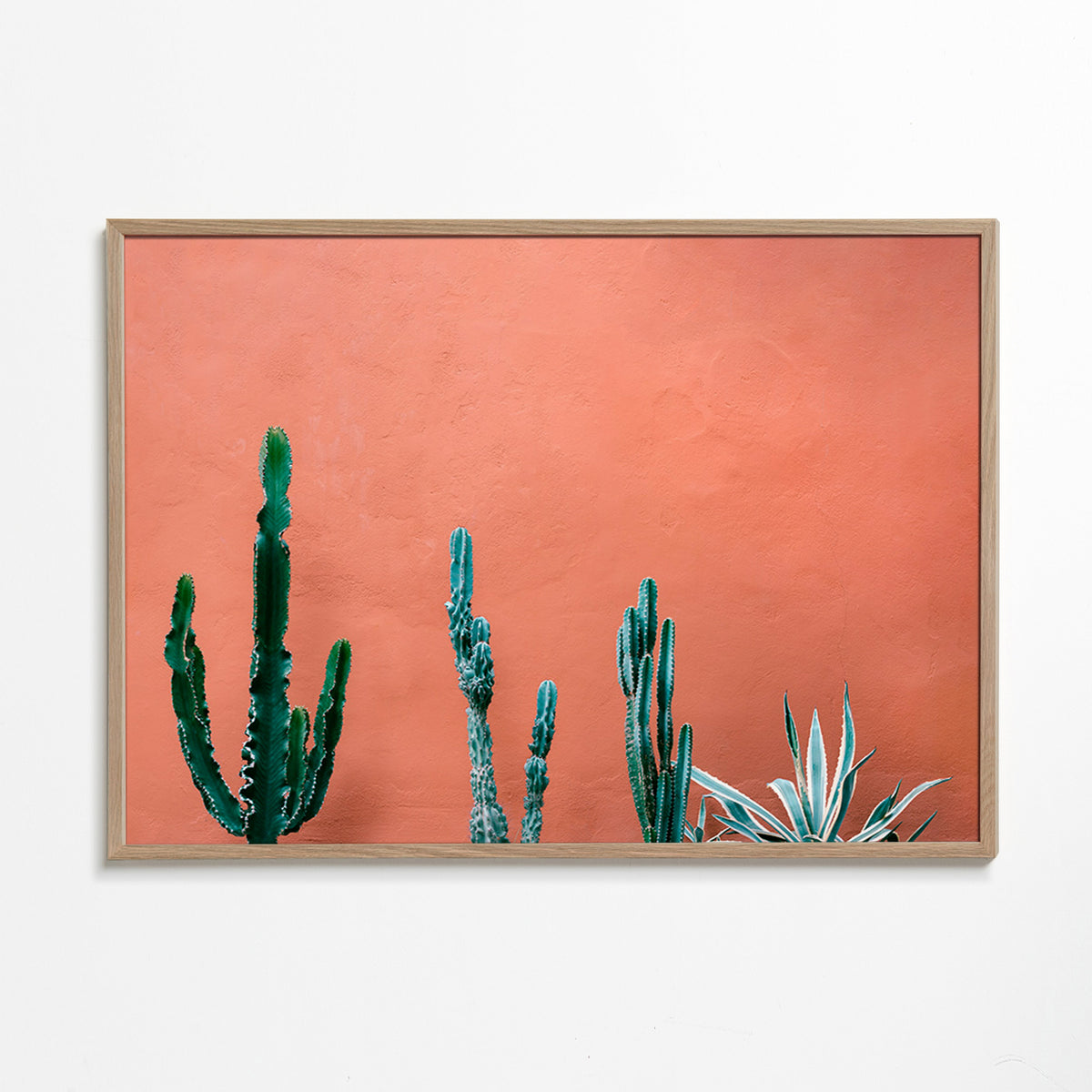 Botanical print of cacti on terracotta wall – Oak Frame