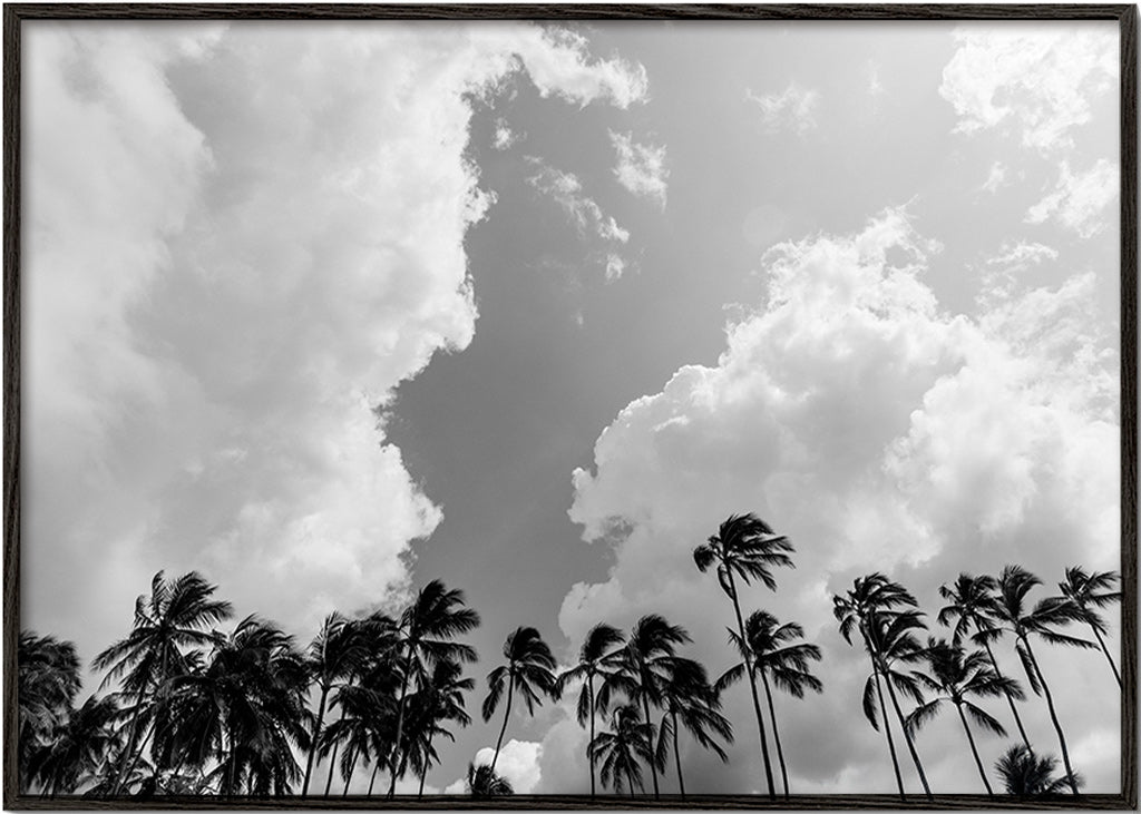 Landscape art with swaying palms and dramatic skies – Black Frame