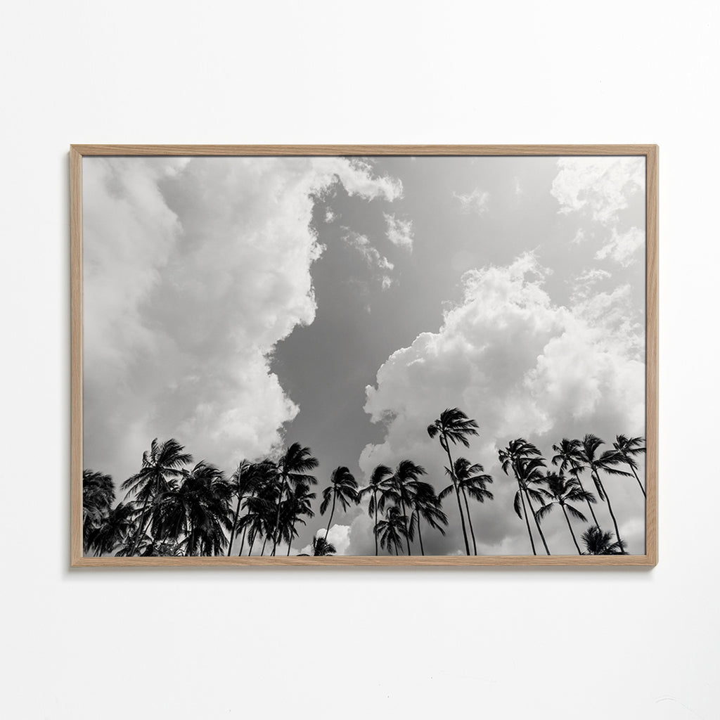 Landscape art with swaying palms and dramatic skies – Oak Frame