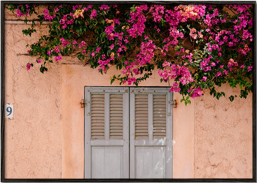 Botanical print: bougainvillea over vintage door – Black Frame