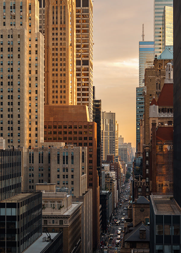 City skyline photograph at morning light