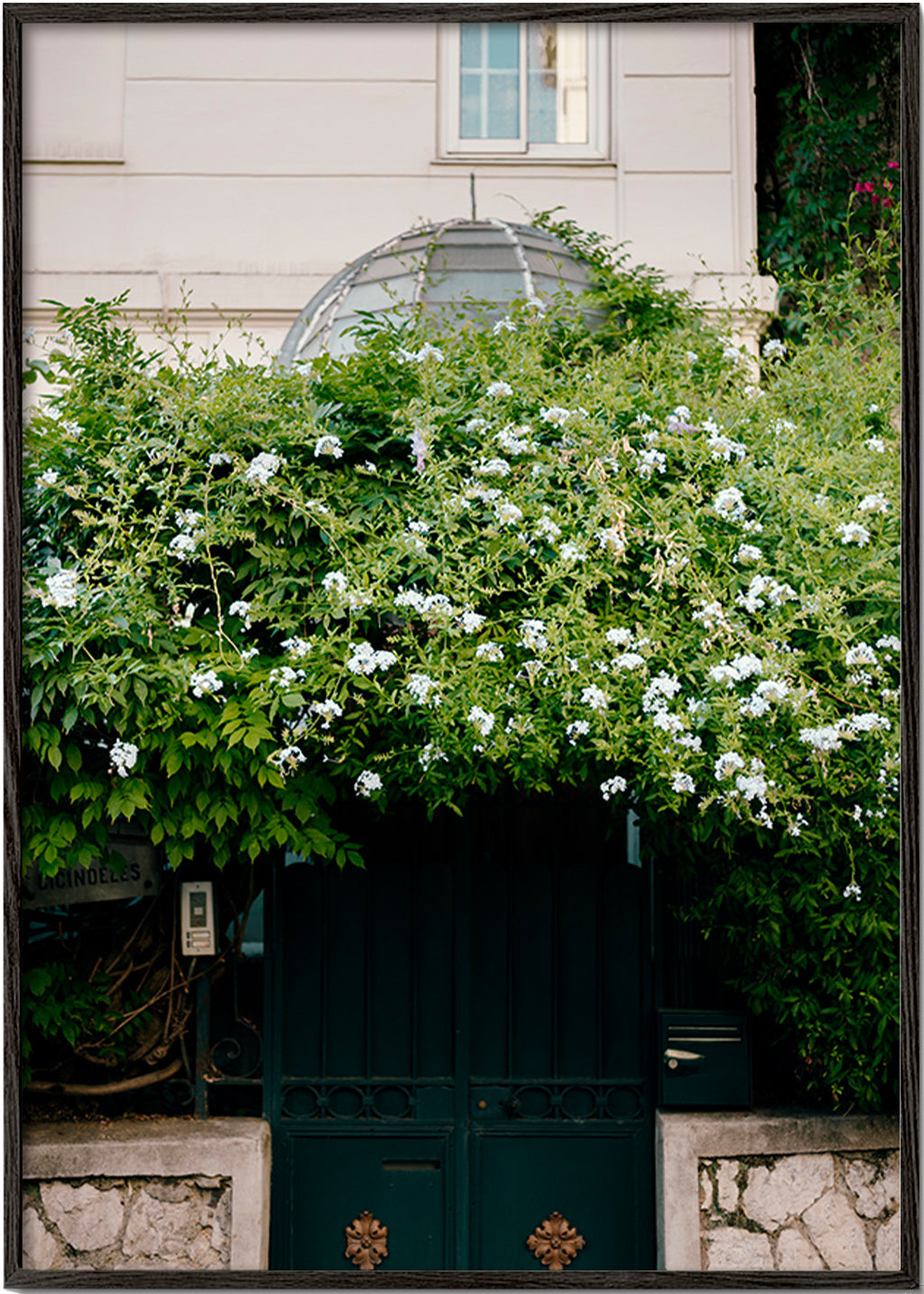 Botanical print with trailing white vine – Black Frame
