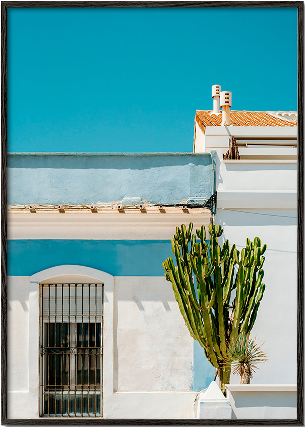 Botanical print: Mediterranean façade with cactus – Black Frame