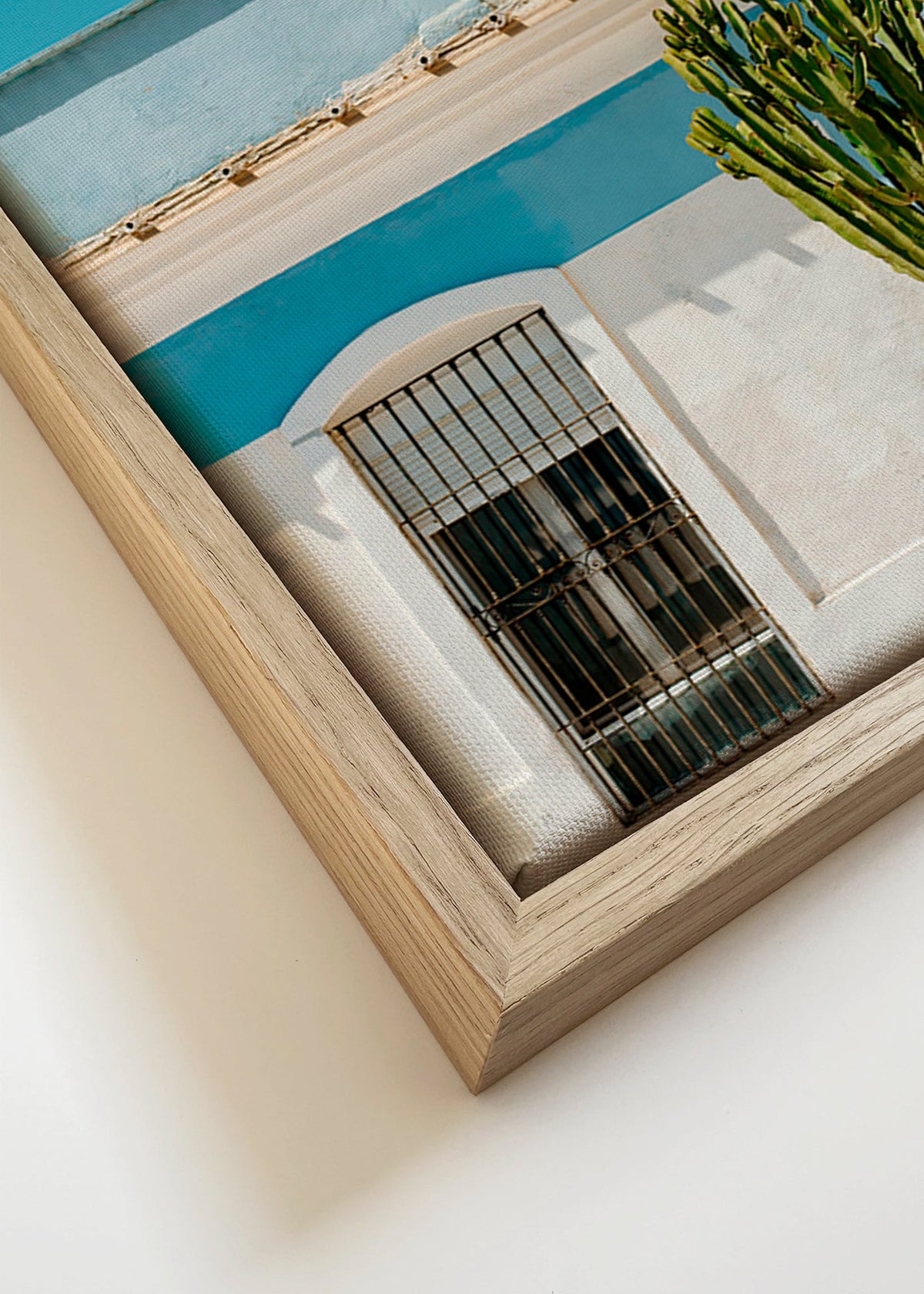 Botanical print: Mediterranean façade with cactus – Canvas detail
