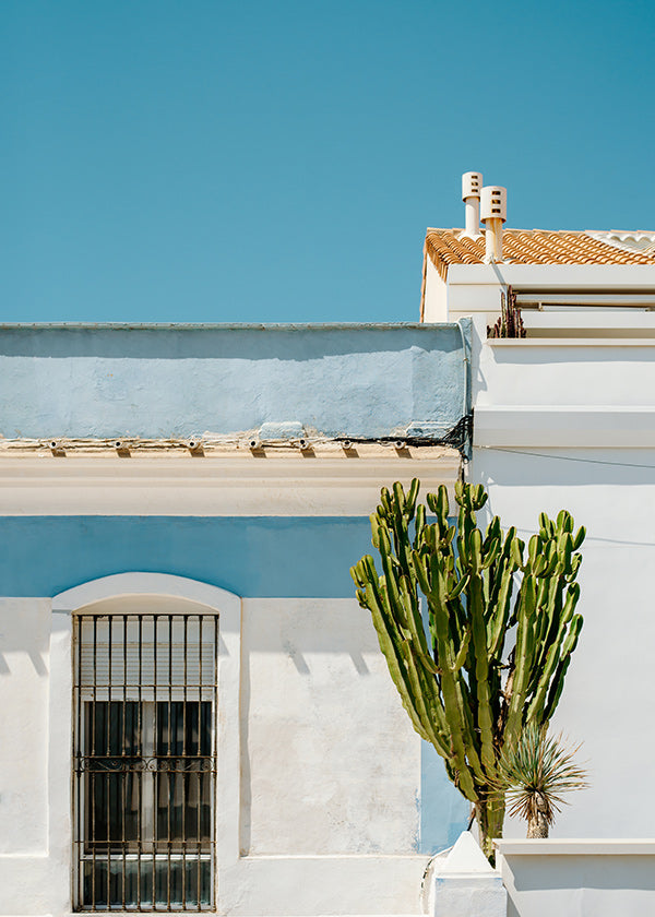 Botanical print: Mediterranean façade with cactus