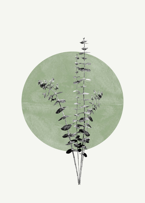 Eucalyptus and Green Moon - Unframed art print