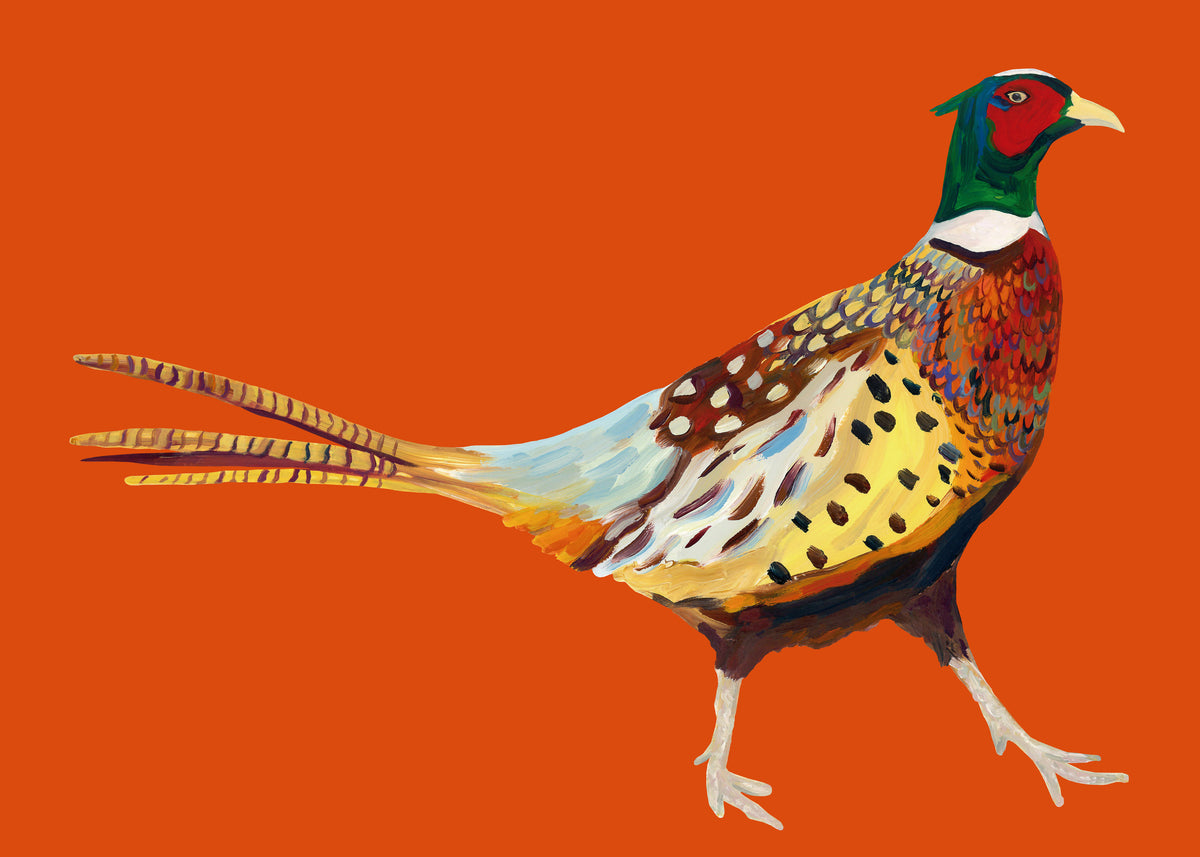 Strutting Pheasant On Orange - Unframed art print