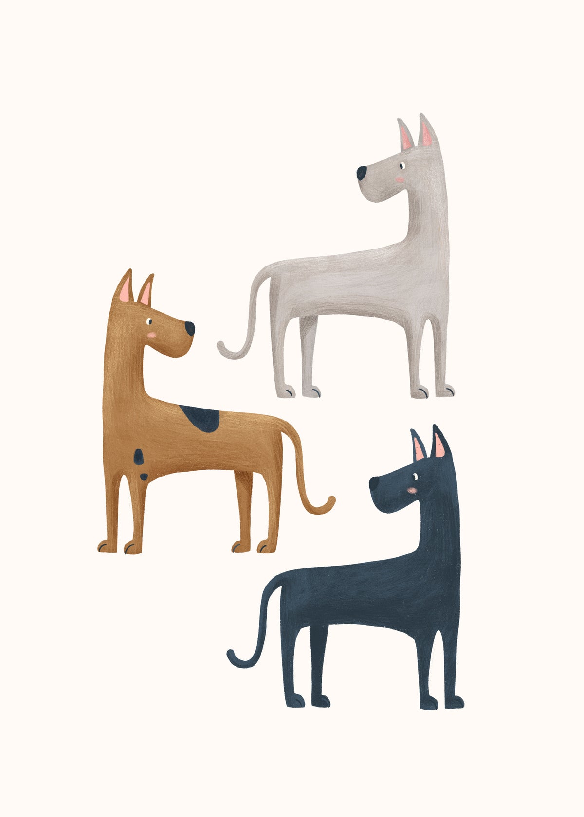 Three Great Dane Dogs - Unframed art print