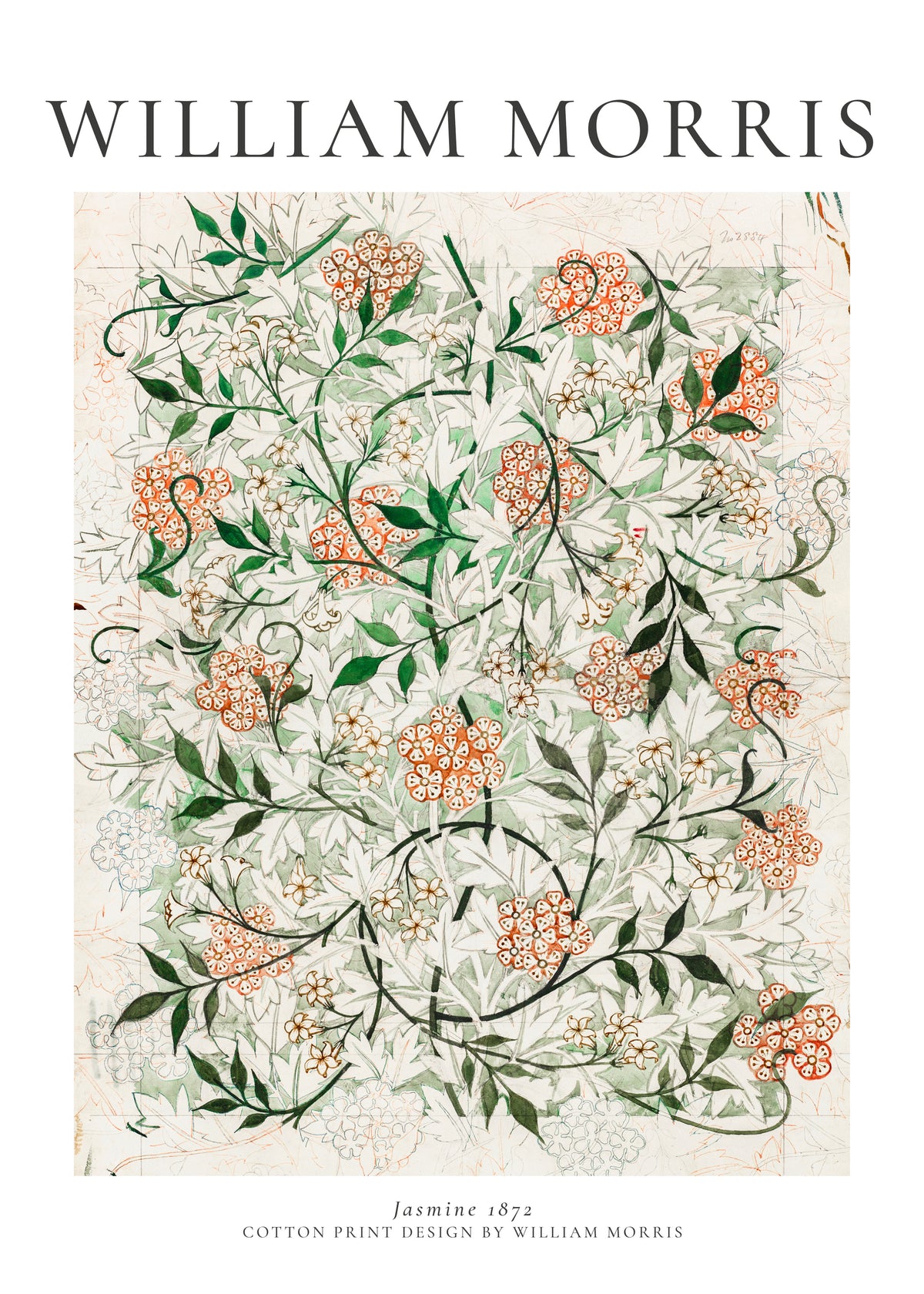 William Morris Jasmine - Unframed art print