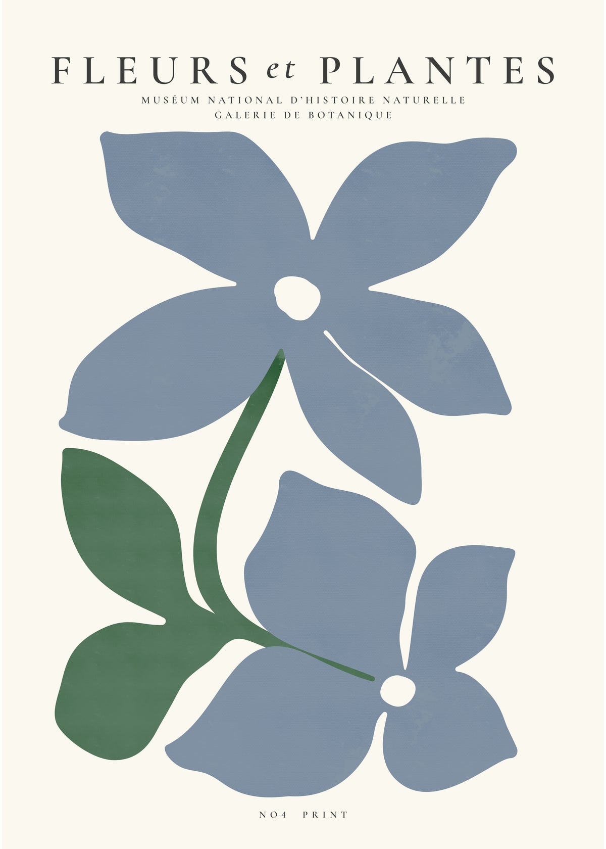 Botanical, Fleurs et plantes - Poster No. 4 - Unframed art print