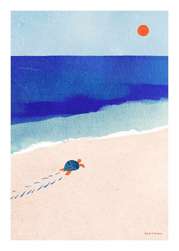 Turtle by the Sea Illustration