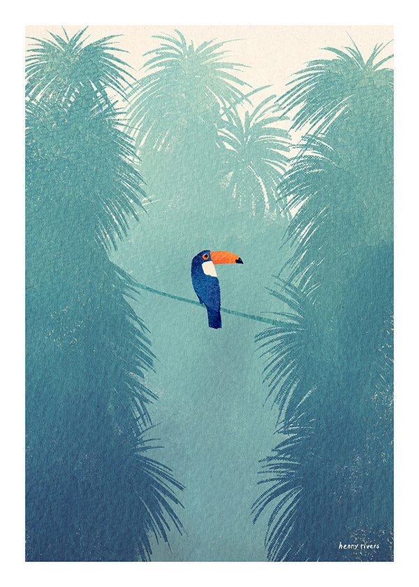 Toucan illustration on tropical perch